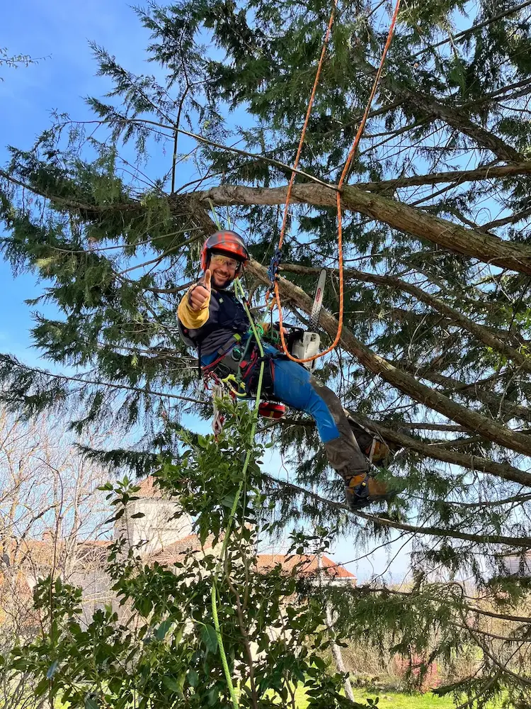 Arboriste grimpeur Arb'Auvergne en intervention à Aydat