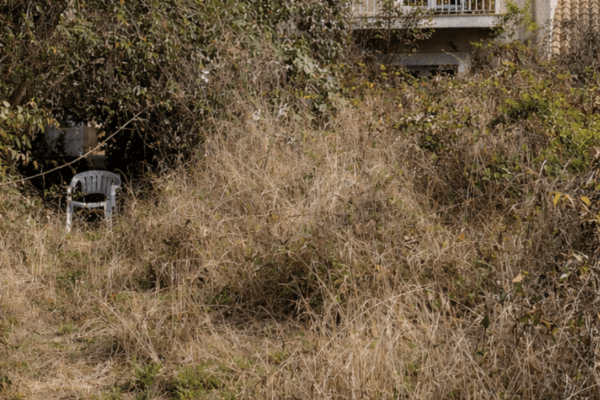 Après — Débroussaillage d&rsquo;un jardin de maison